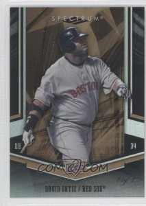 David Ortiz 2008